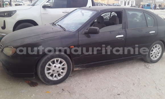 Acheter Occasion Voiture Nissan Primera Noir à Nouakchott, Nouakchott Ouest Acheter Occasion Voiture Nissan Primera Noir à Nouakchott, Nouakchott Ouest