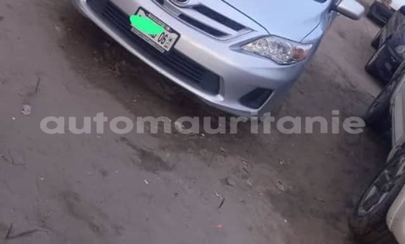 Acheter Occasion Voiture Toyota Corolla Gris à Adel Bagrou, Hodh ech Chargui Acheter Occasion Voiture Toyota Corolla Gris à Adel Bagrou, Hodh ech Chargui