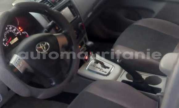 Acheter Occasion Voiture Toyota Corolla Gris à Adel Bagrou, Hodh ech Chargui Acheter Occasion Voiture Toyota Corolla Gris à Adel Bagrou, Hodh ech Chargui