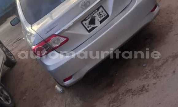 Acheter Occasion Voiture Toyota Corolla Gris à Adel Bagrou, Hodh ech Chargui Acheter Occasion Voiture Toyota Corolla Gris à Adel Bagrou, Hodh ech Chargui
