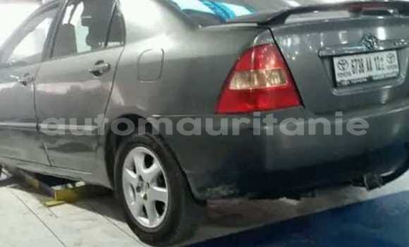 Acheter Occasion Voiture Toyota Corolla Autre à Adel Bagrou, Hodh ech Chargui Acheter Occasion Voiture Toyota Corolla Autre à Adel Bagrou, Hodh ech Chargui