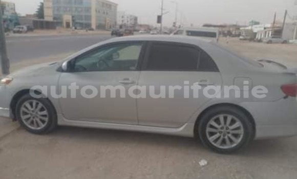 Acheter Occasion Voiture Toyota Corolla Gris à Adel Bagrou, Hodh ech Chargui Acheter Occasion Voiture Toyota Corolla Gris à Adel Bagrou, Hodh ech Chargui