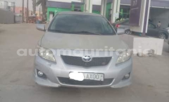 Acheter Occasion Voiture Toyota Corolla Gris à Adel Bagrou, Hodh ech Chargui Acheter Occasion Voiture Toyota Corolla Gris à Adel Bagrou, Hodh ech Chargui