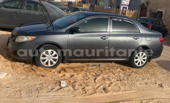 Acheter Occasion Voiture Toyota Corolla Noir à Adel Bagrou, Hodh ech Chargui Acheter Occasion Voiture Toyota Corolla Noir à Adel Bagrou, Hodh ech Chargui