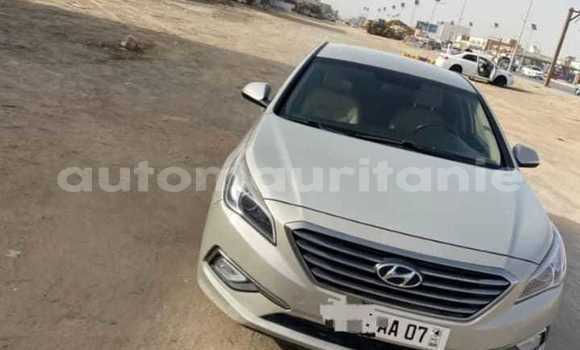 Acheter Occasion Voiture Hyundai Sonata Gris à Adel Bagrou, Hodh ech Chargui Acheter Occasion Voiture Hyundai Sonata Gris à Adel Bagrou, Hodh ech Chargui