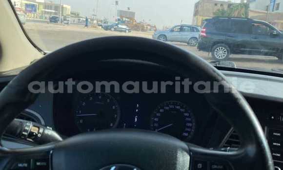 Acheter Occasion Voiture Hyundai Sonata Gris à Adel Bagrou, Hodh ech Chargui Acheter Occasion Voiture Hyundai Sonata Gris à Adel Bagrou, Hodh ech Chargui