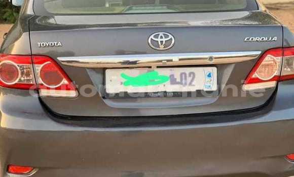 Acheter Occasion Voiture Toyota Corolla Noir à Adel Bagrou, Hodh ech Chargui Acheter Occasion Voiture Toyota Corolla Noir à Adel Bagrou, Hodh ech Chargui