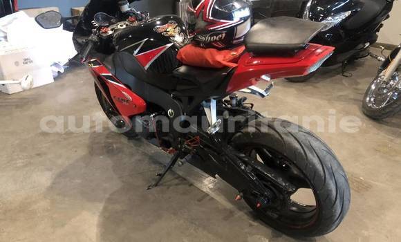 Buy Used Honda CBR 1000 RR Brown Bike in Nouakchott in West Nouakchott Buy Used Honda CBR 1000 RR Brown Bike in Nouakchott in West Nouakchott