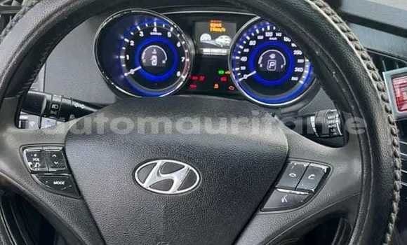 Buy Used Hyundai Elantra Black Car in Nouakchott in West Nouakchott Buy Used Hyundai Elantra Black Car in Nouakchott in West Nouakchott