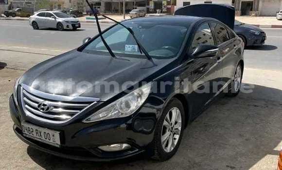 Buy Used Hyundai Elantra Black Car in Nouakchott in West Nouakchott Buy Used Hyundai Elantra Black Car in Nouakchott in West Nouakchott