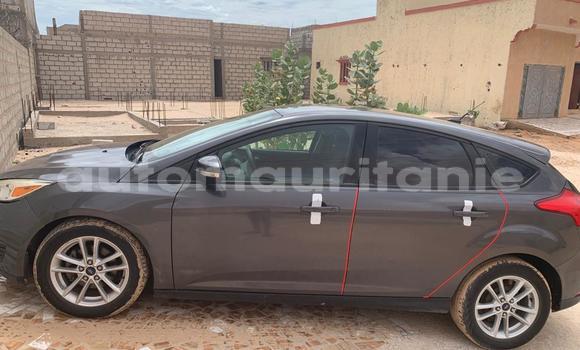 Buy Used Ford Focus Black Car in Nouakchott in West Nouakchott Buy Used Ford Focus Black Car in Nouakchott in West Nouakchott