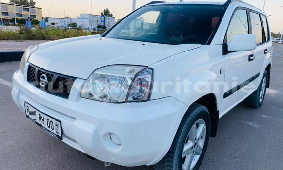 Buy Used Nissan X–Trail White Car in Nouakchott in West Nouakchott Buy Used Nissan X–Trail White Car in Nouakchott in West Nouakchott