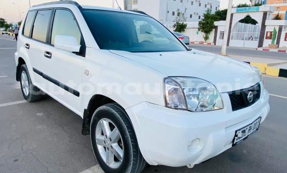 Buy Used Nissan X–Trail White Car in Nouakchott in West Nouakchott Buy Used Nissan X–Trail White Car in Nouakchott in West Nouakchott