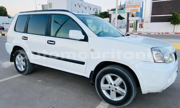 Buy Used Nissan X–Trail White Car in Nouakchott in West Nouakchott Buy Used Nissan X–Trail White Car in Nouakchott in West Nouakchott