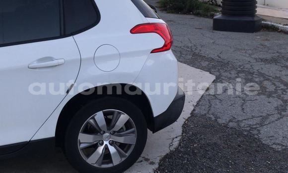 Buy Import Peugeot 2008 White Car in Nouakchott in West Nouakchott Buy Import Peugeot 2008 White Car in Nouakchott in West Nouakchott