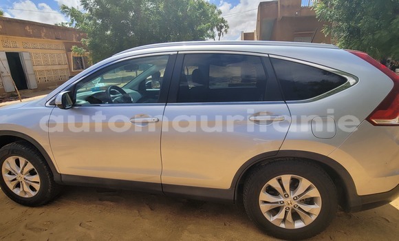 Buy Import Honda CR–V Silver Car in Nouakchott in West Nouakchott