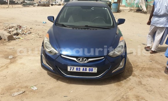 Buy Used Hyundai Elantra Blue Car in Nouakchott in West Nouakchott