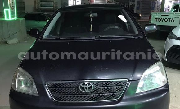 Acheter Occasion Voiture Toyota Corolla Noir à Adel Bagrou, Hodh ech Chargui Acheter Occasion Voiture Toyota Corolla Noir à Adel Bagrou, Hodh ech Chargui