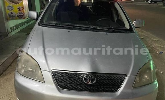 Acheter Occasion Voiture Toyota Corolla Gris à Adel Bagrou, Hodh ech Chargui Acheter Occasion Voiture Toyota Corolla Gris à Adel Bagrou, Hodh ech Chargui