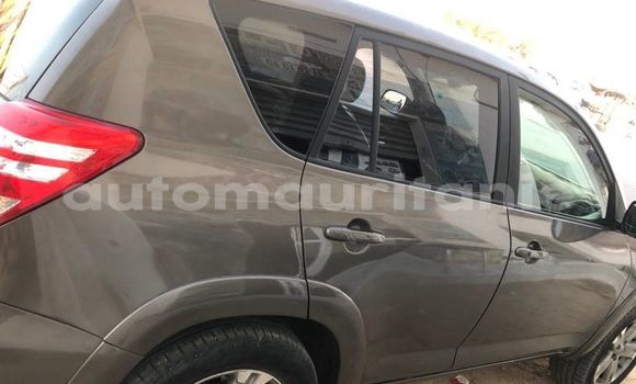 Acheter Occasion Voiture Toyota RAV4 Marron à Adel Bagrou, Hodh ech Chargui Acheter Occasion Voiture Toyota RAV4 Marron à Adel Bagrou, Hodh ech Chargui