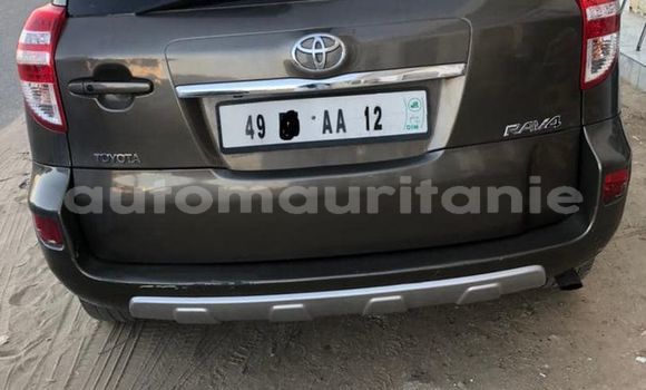 Acheter Occasion Voiture Toyota RAV4 Marron à Adel Bagrou, Hodh ech Chargui Acheter Occasion Voiture Toyota RAV4 Marron à Adel Bagrou, Hodh ech Chargui