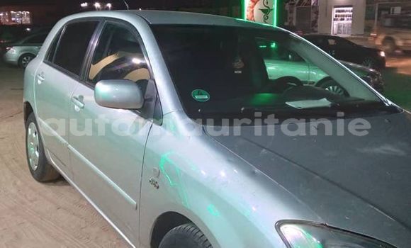 Acheter Occasion Voiture Toyota Corolla Gris à Adel Bagrou, Hodh ech Chargui Acheter Occasion Voiture Toyota Corolla Gris à Adel Bagrou, Hodh ech Chargui