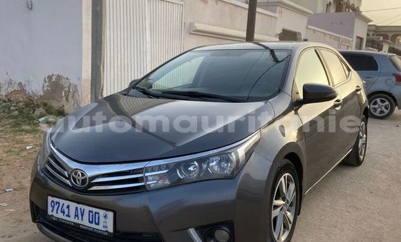 Acheter Occasion Voiture Toyota Corolla Noir à Adel Bagrou, Hodh ech Chargui Acheter Occasion Voiture Toyota Corolla Noir à Adel Bagrou, Hodh ech Chargui