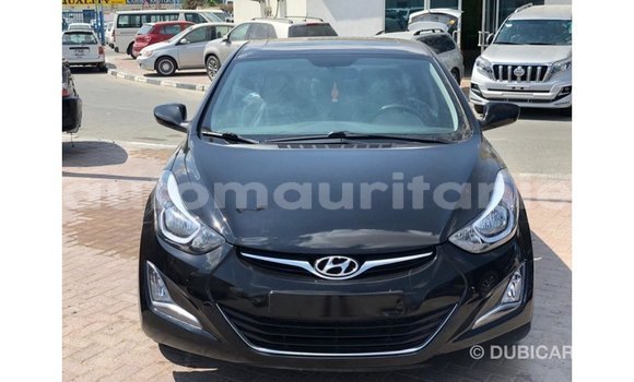 Buy Import Hyundai Elantra Black Car in Import - Dubai in Adrar Buy Import Hyundai Elantra Black Car in Import - Dubai in Adrar