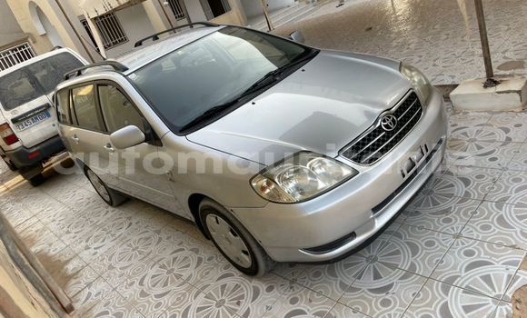 Acheter Occasion Voiture Toyota Corolla Gris à Adel Bagrou, Hodh ech Chargui Acheter Occasion Voiture Toyota Corolla Gris à Adel Bagrou, Hodh ech Chargui