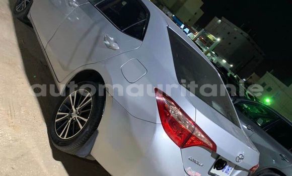 Acheter Occasion Voiture Toyota Corolla Gris à Adel Bagrou, Hodh ech Chargui Acheter Occasion Voiture Toyota Corolla Gris à Adel Bagrou, Hodh ech Chargui
