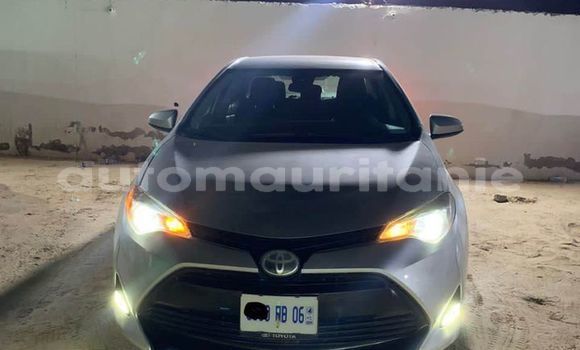 Acheter Occasion Voiture Toyota Corolla Gris à Adel Bagrou, Hodh ech Chargui Acheter Occasion Voiture Toyota Corolla Gris à Adel Bagrou, Hodh ech Chargui