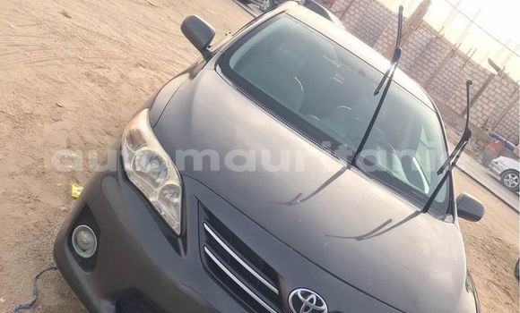 Acheter Occasion Voiture Toyota Corolla Noir à Adel Bagrou, Hodh ech Chargui Acheter Occasion Voiture Toyota Corolla Noir à Adel Bagrou, Hodh ech Chargui