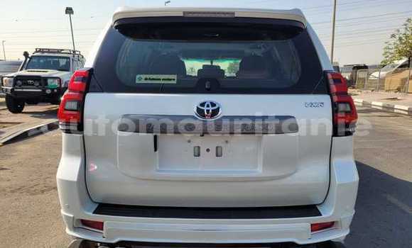 Buy Used Toyota Land Cruiser Prado White Car in Bareina in Tagant Buy Used Toyota Land Cruiser Prado White Car in Bareina in Tagant