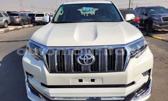 Buy Used Toyota Land Cruiser Prado White Car in Bareina in Tagant Buy Used Toyota Land Cruiser Prado White Car in Bareina in Tagant