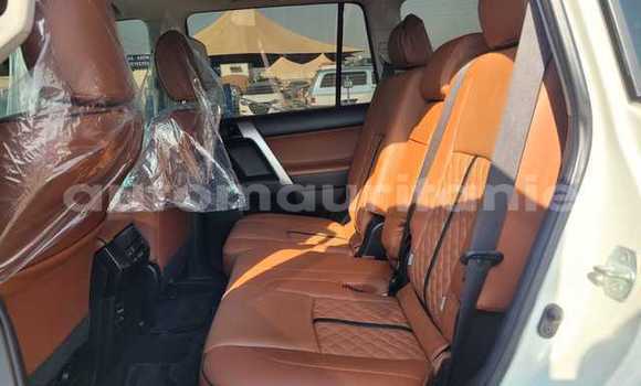 Buy Used Toyota Land Cruiser Prado White Car in Bareina in Tagant Buy Used Toyota Land Cruiser Prado White Car in Bareina in Tagant