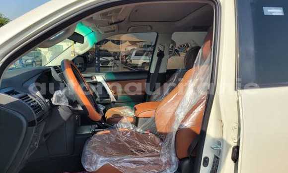 Buy Used Toyota Land Cruiser Prado White Car in Bareina in Tagant Buy Used Toyota Land Cruiser Prado White Car in Bareina in Tagant
