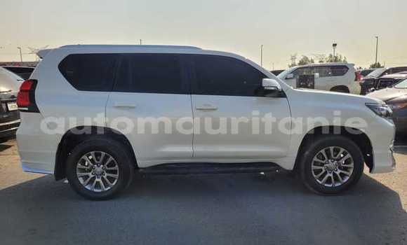 Buy Used Toyota Land Cruiser Prado White Car in Bareina in Tagant Buy Used Toyota Land Cruiser Prado White Car in Bareina in Tagant