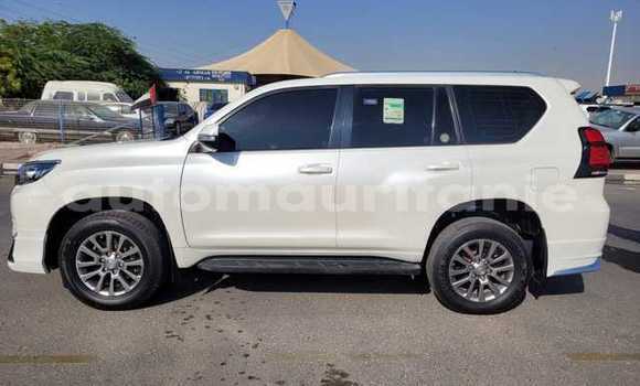Buy Used Toyota Land Cruiser Prado White Car in Bareina in Tagant Buy Used Toyota Land Cruiser Prado White Car in Bareina in Tagant