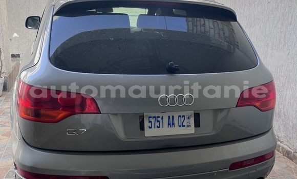 Acheter Occasion Voiture Audi Q7 Gris à Tevragh Zeina, Wilaya du Trarza