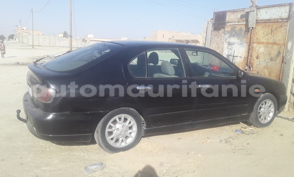 Acheter Occasion Voiture Nissan Primera Noir à Nouadhibou, Dakhlet Nouadhibou Acheter Occasion Voiture Nissan Primera Noir à Nouadhibou, Dakhlet Nouadhibou