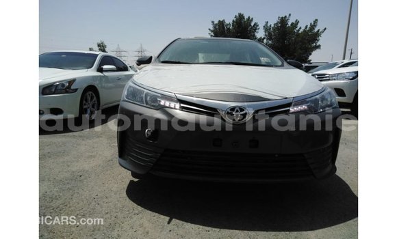 Acheter Import Voiture Toyota Corolla Autre à Import - Dubai, Adrar Acheter Import Voiture Toyota Corolla Autre à Import - Dubai, Adrar