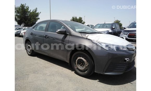 Acheter Import Voiture Toyota Corolla Autre à Import - Dubai, Adrar Acheter Import Voiture Toyota Corolla Autre à Import - Dubai, Adrar