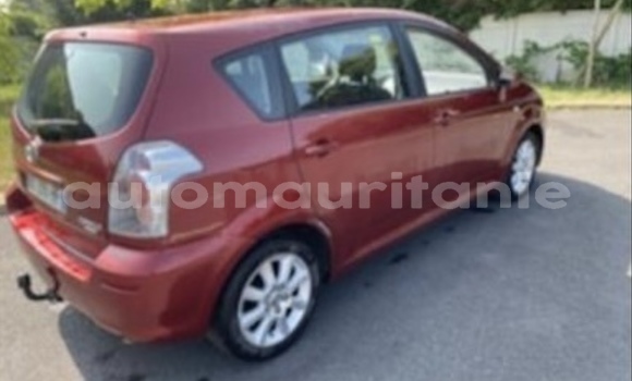 Acheter Import Voiture Toyota Corolla Rouge à Nouakchott, Nouakchott Ouest Acheter Import Voiture Toyota Corolla Rouge à Nouakchott, Nouakchott Ouest