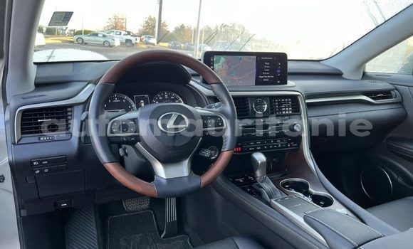 Buy Import Lexus RX 350 Silver Car in Import - Dubai in Adrar Buy Import Lexus RX 350 Silver Car in Import - Dubai in Adrar