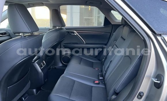 Buy Import Lexus RX 350 Silver Car in Import - Dubai in Adrar Buy Import Lexus RX 350 Silver Car in Import - Dubai in Adrar