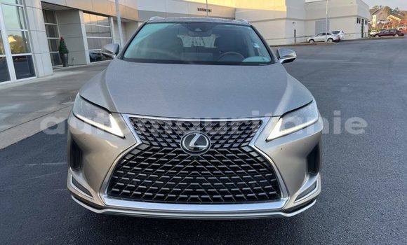 Buy Import Lexus RX 350 Silver Car in Import - Dubai in Adrar Buy Import Lexus RX 350 Silver Car in Import - Dubai in Adrar