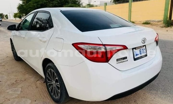 Acheter Occasion Voiture Toyota Corolla Autre à Nouakchott, Nouakchott Ouest Acheter Occasion Voiture Toyota Corolla Autre à Nouakchott, Nouakchott Ouest