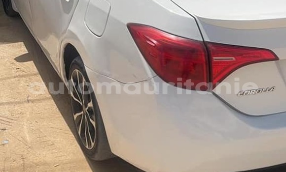 Buy Used Toyota Corolla White Car in Aqjawajat in Inshiri Buy Used Toyota Corolla White Car in Aqjawajat in Inshiri