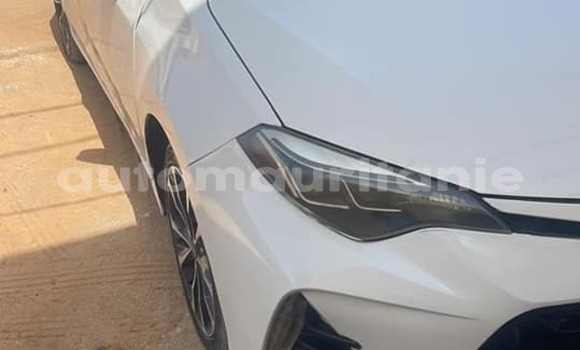 Buy Used Toyota Corolla White Car in Aqjawajat in Inshiri Buy Used Toyota Corolla White Car in Aqjawajat in Inshiri