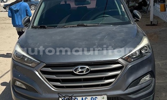 Buy Used Hyundai Tucson Other Car in Arafat in Wilaya of Trarza Buy Used Hyundai Tucson Other Car in Arafat in Wilaya of Trarza